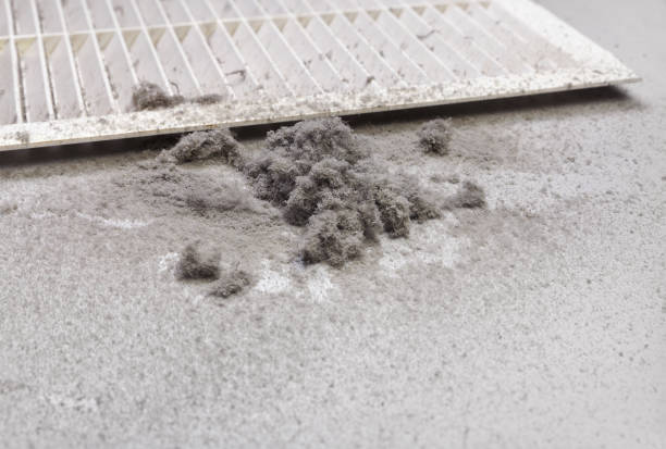 Best Professional Duct Cleaning Services  in Havana, FL